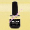 Artistic Soak Off Gel Colour 109 Flawless -  , 15 