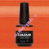 Artistic Soak Off Gel Colour 114 Sultry -  , 15 